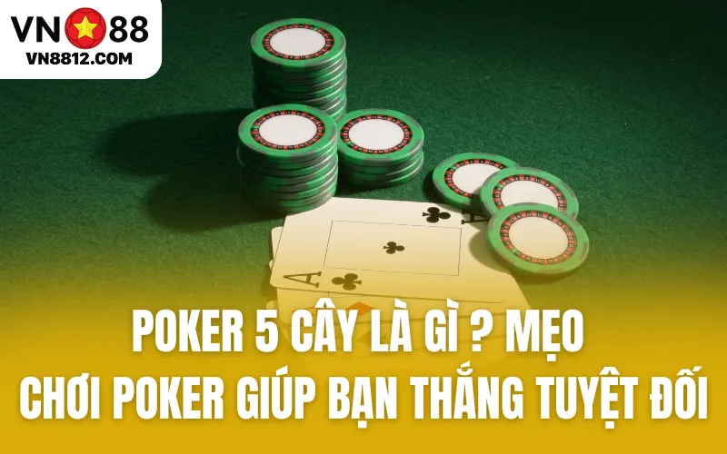 Poker 5 Cây Là Gì? Mẹo Chơi Poker Giúp Bạn Thắng Tuyệt Đối